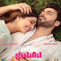 Watch Abir Gulaal (2025) Online Full Movie Free